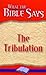 The Tribulation (What the B...