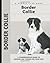 Border Collie (Comprehensive Owner's Guide)