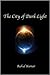 The City of Dark Light by Rahul  Kumar