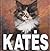Katės