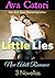 Little Lies