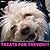 Treats for Trevor (An adorable picture book)