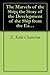 The Marvels of the Ship: The Story of the Development of the Ship from the Earliest Times