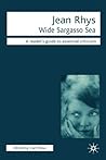 Wide Sargasso Sea: A Reader's Guide to Essential Criticism