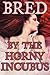 Bred By The Horny Incubus