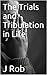 The Trials and Tribulation in Life by Joshua Kritz