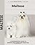 Maltese by Juliette Cunliffe