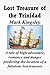 Lost Treasure of the Trinidad by Mark Kingsley