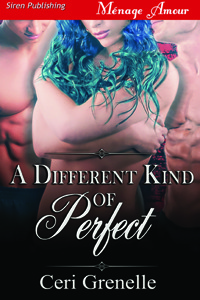 A Different Kind of Perfect (Kindle Edition)
