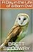 A Day in the Life of a Barn Owl (A Day in the Life Series)
