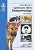 BSAVA Manual of Canine and Feline Endocrinology (BSAVA British Small Animal Veterinary Association)