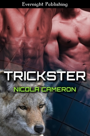 Trickster (Kindle Edition)