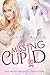 Missing Cupid (An Apocalyptic Fairytale)