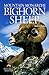 Bighorn Sheep: Mountain Mon...