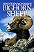 Bighorn Sheep: Mountain Monarchs (Northword Wildlife Series)