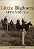 Little Bighorn Appendices