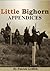 Little Bighorn Appendices