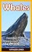 Whales: Amazing Whales Pict...