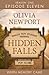 When Memory Came (Hidden Falls, #11)