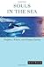 Souls in the Sea by Scott  Taylor