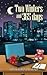 Two Winters and 365 days by Anuradha Prasad