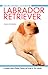 Labrador Retriever (Pet Owner's Manual)