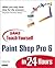 Sams Teach Yourself Paint S...