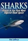 Sharks: Pictures ...