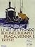Le vie del mondo: Berlino, Budapest, Praga, Vienna e Trieste: Intellettuali ebrei e cultura europea dal 1880 al 1930
