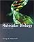 Essentials of Molecular Biology by George M. Malacinski