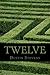 Twelve by Dustin Stevens