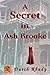 A Secret in Ash Brooke (Sta...