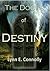 The Doors of Destiny