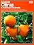All About Citrus & Subtropical Fruits