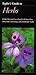 Taylor's Guide to Herbs by Rita Buchanan