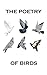 The Poetry Of Birds