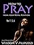 Spiritual Warfare Prayers, Prayers that avail much - How to Pray from your Royal Position
