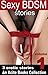 Sexy BDSM Stories - Volume One