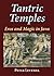 Tantric Temples: Eros and Magic in Java