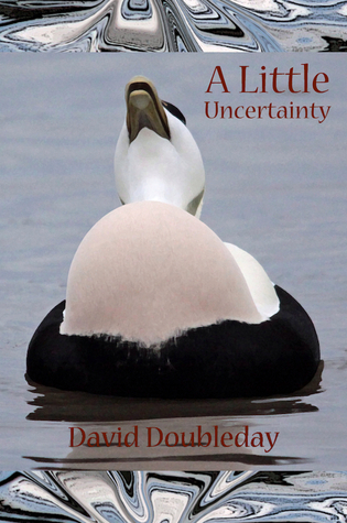 A Little Uncertainty (Kindle Edition)