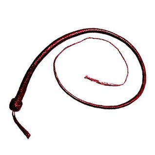 Females Are Always Above Male Specimens (Kindle Edition)