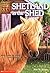 Shetland in the Shed (Anima...