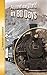 Around the World in 80 Days (Saddleback Classics)