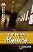 Art Show Mystery (Carter High Mysteries)