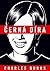 Černá díra