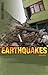 Earthquakes (Disasters)