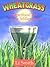 Wheatgrass: Superfood for a New Millennium