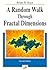 A Random Walk Through Fractal Dimensions