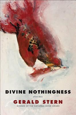 Divine Nothingness: Poems (Hardcover)