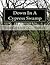 Down In A Cypress Swamp